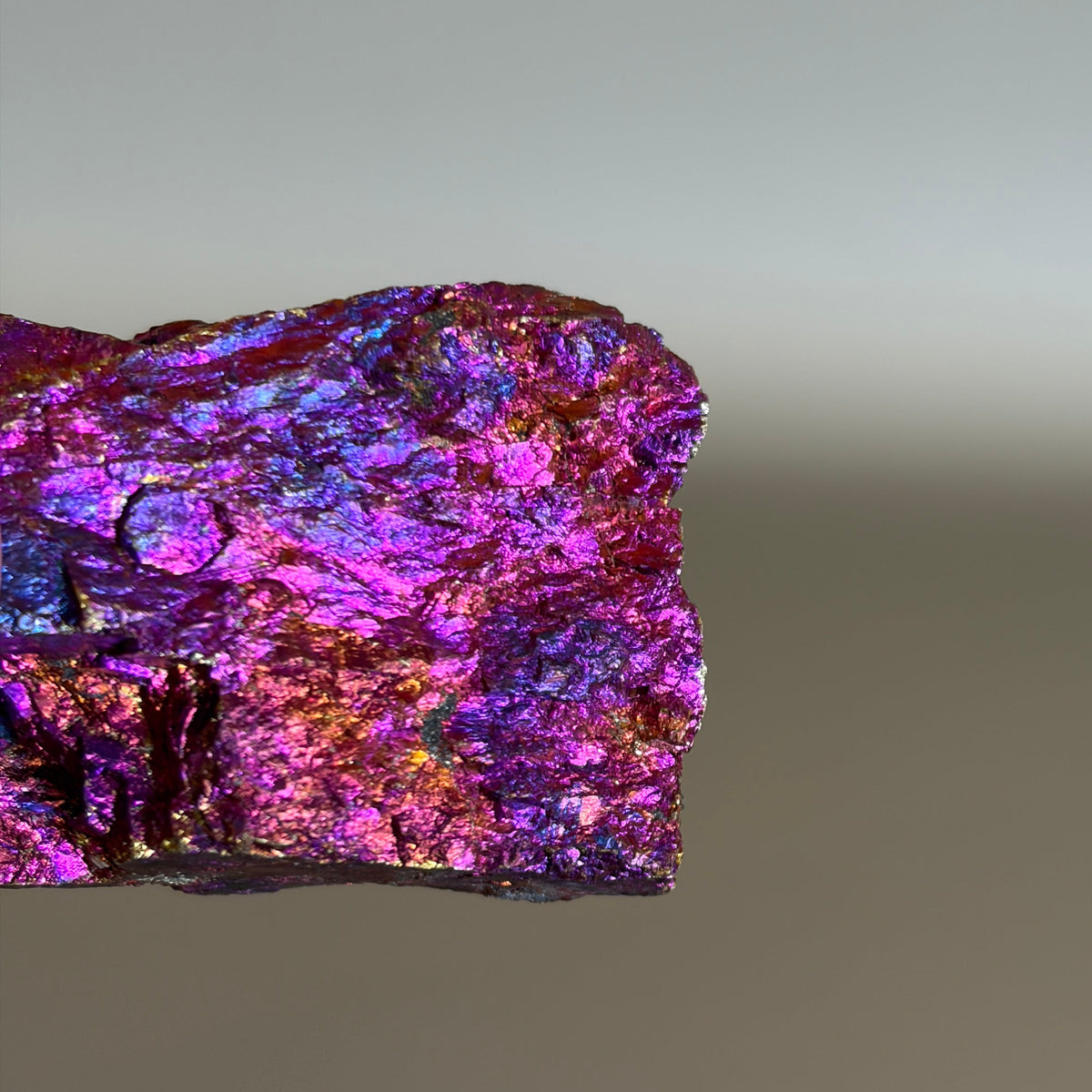 Peacock Ore 004