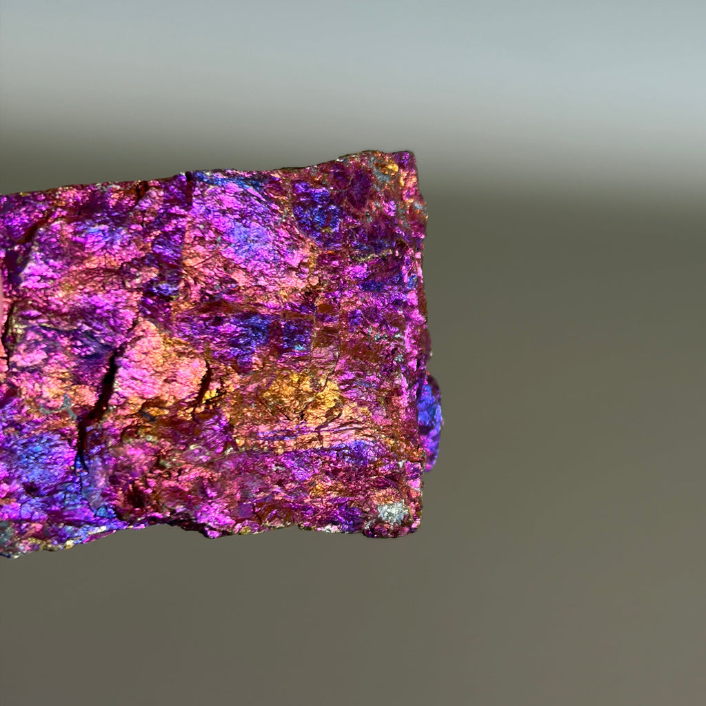 Peacock Ore 004