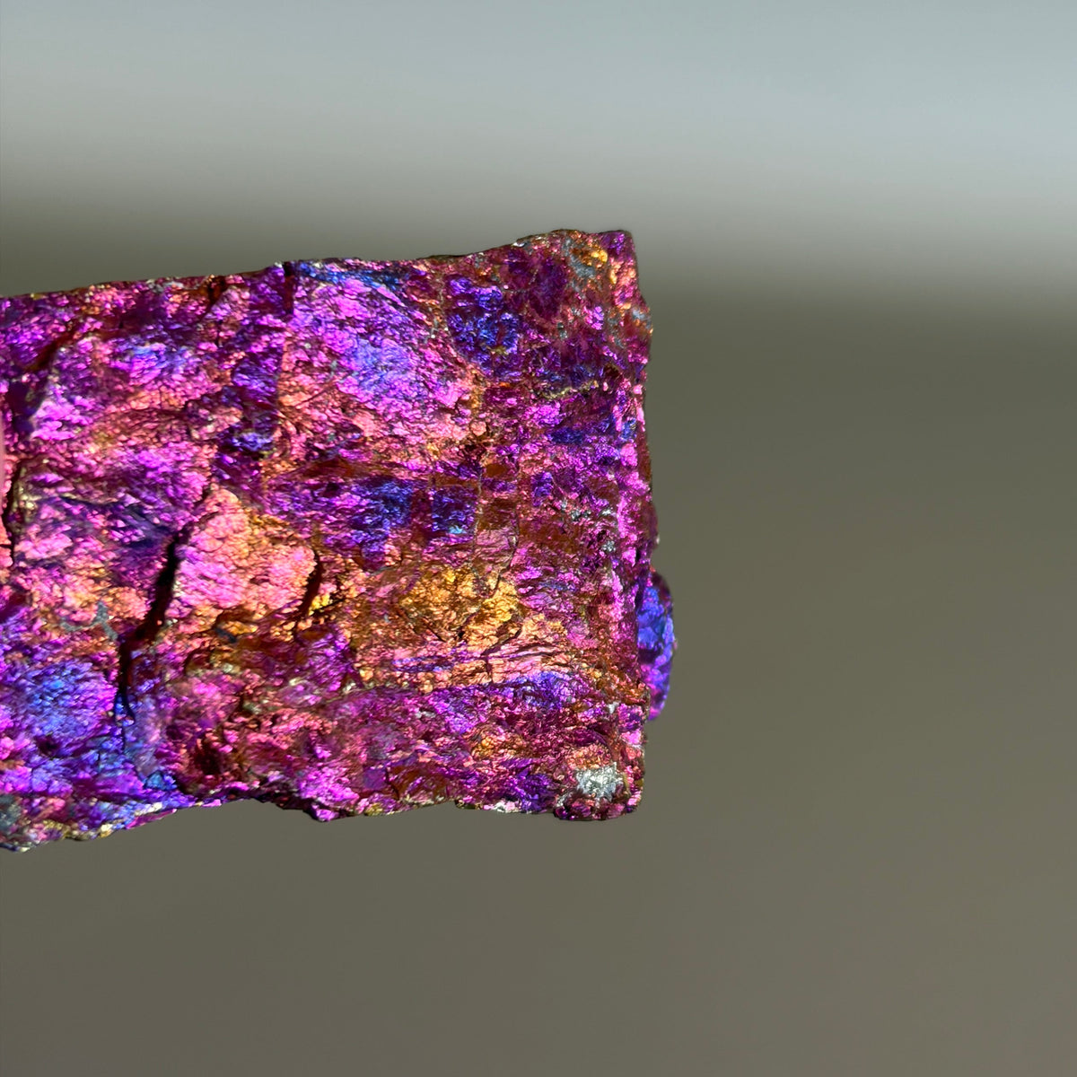 Peacock Ore 004