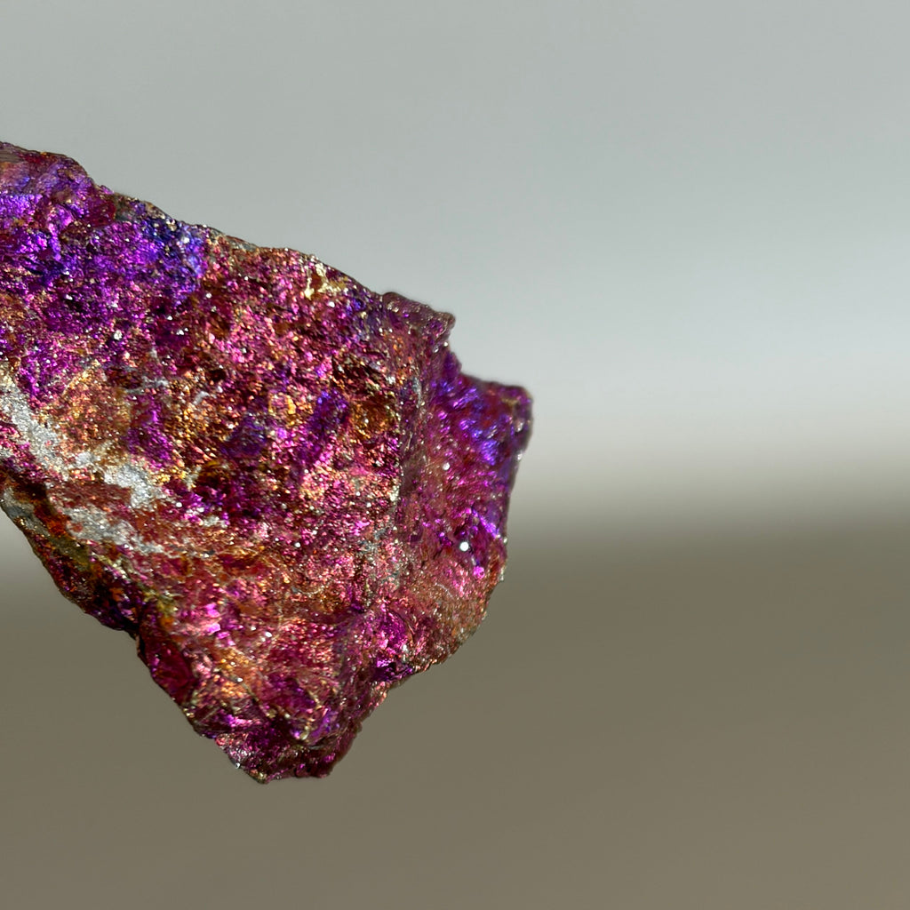 Peacock Ore 006