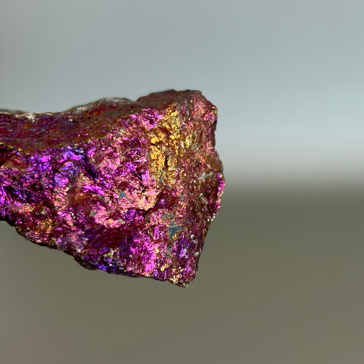 Peacock Ore 006