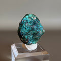 Peacock Ore 010