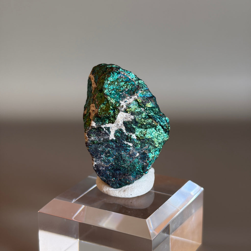 Peacock Ore 010