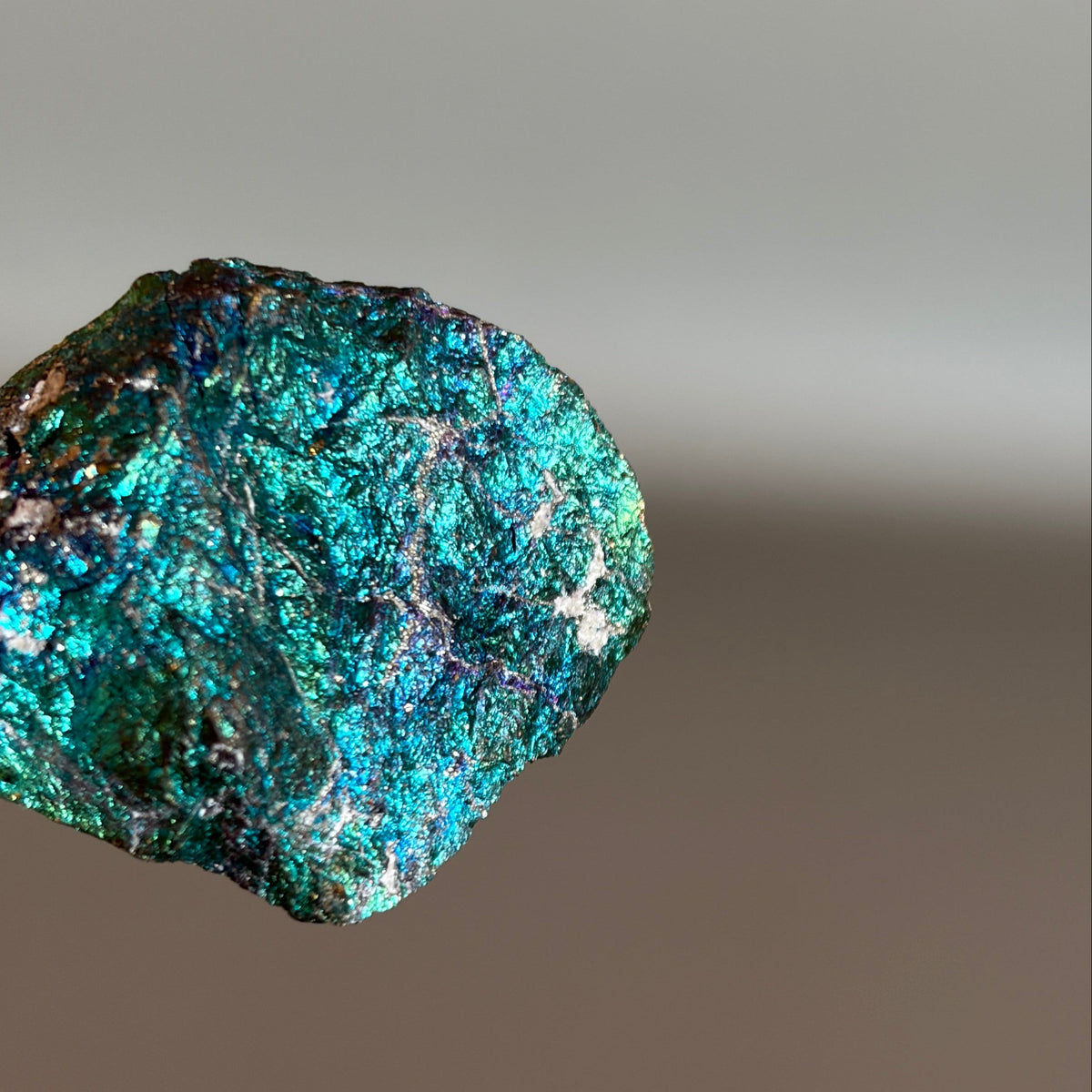 Peacock Ore 010