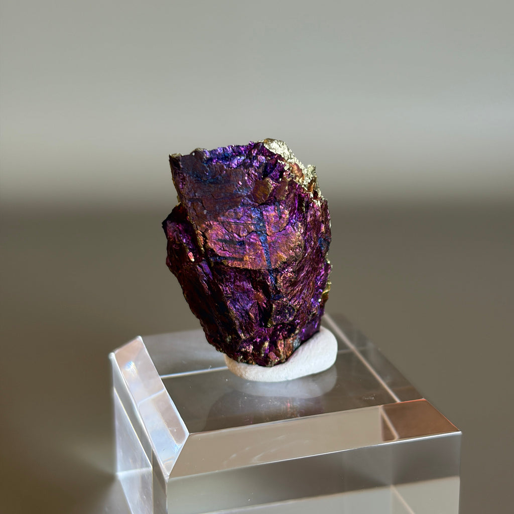 Peacock Ore 011