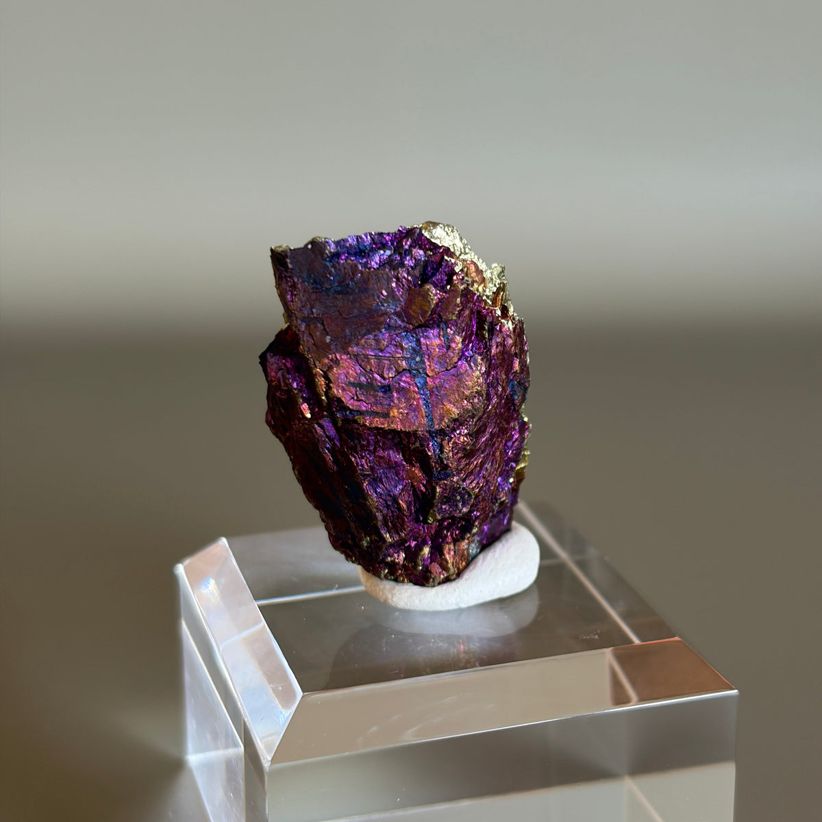 Peacock Ore 011