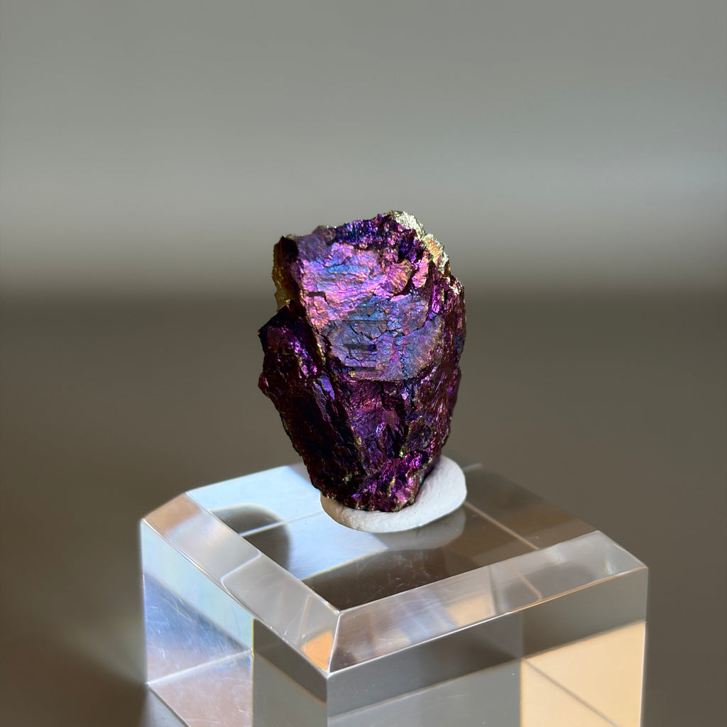 Peacock Ore 011