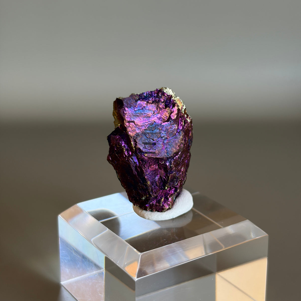 Peacock Ore 011