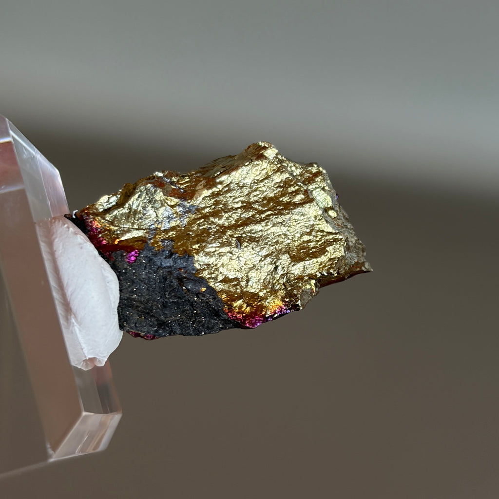Peacock Ore 011