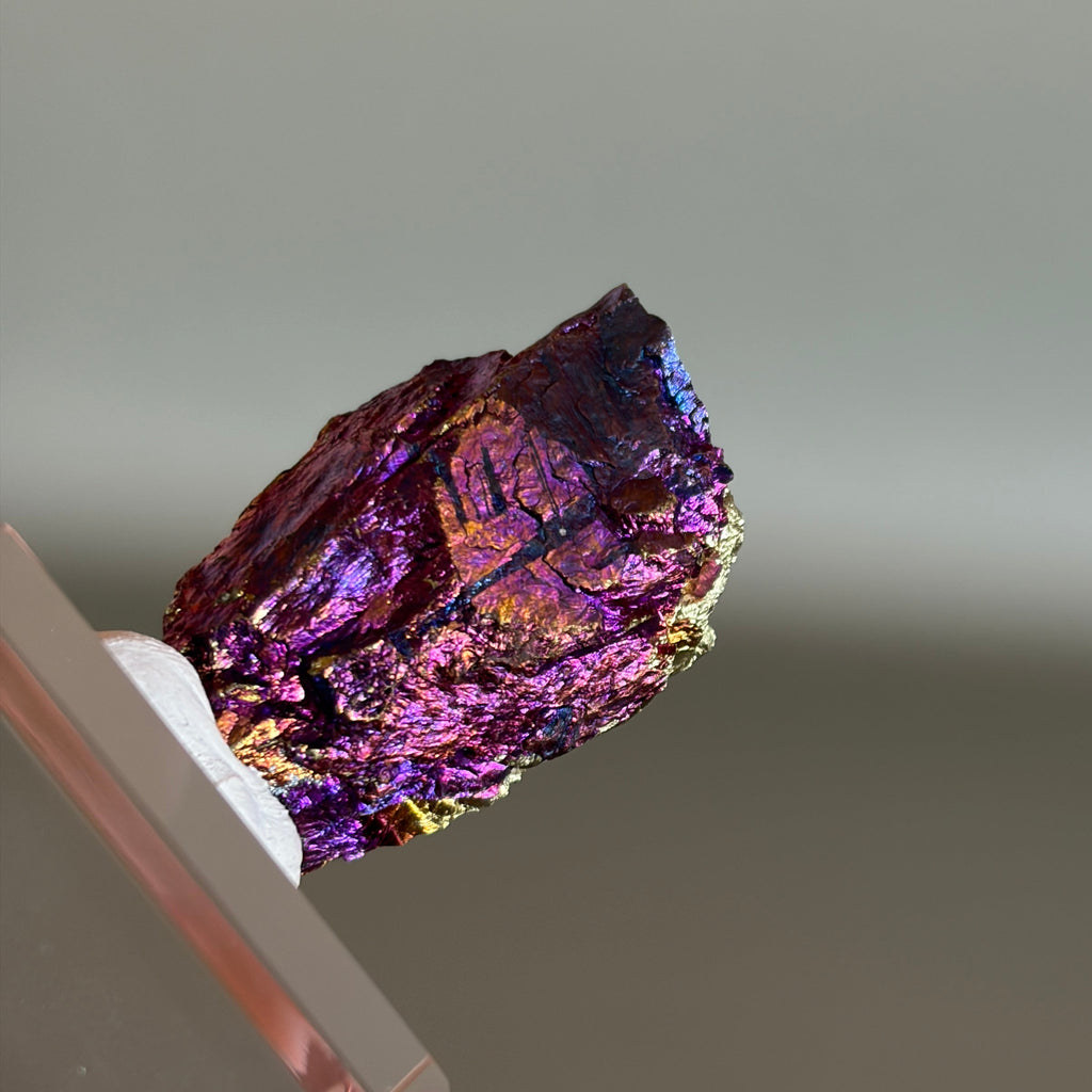 Peacock Ore 011