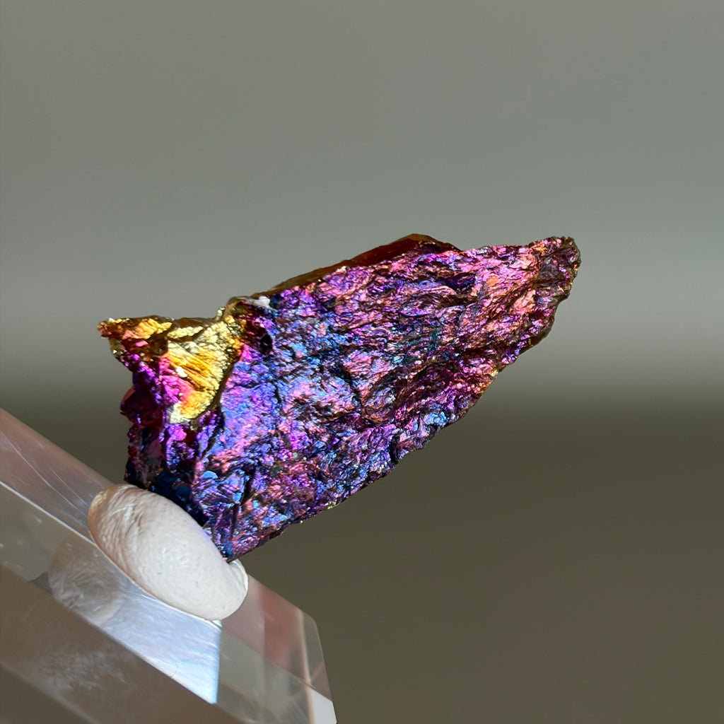 Peacock Ore 012