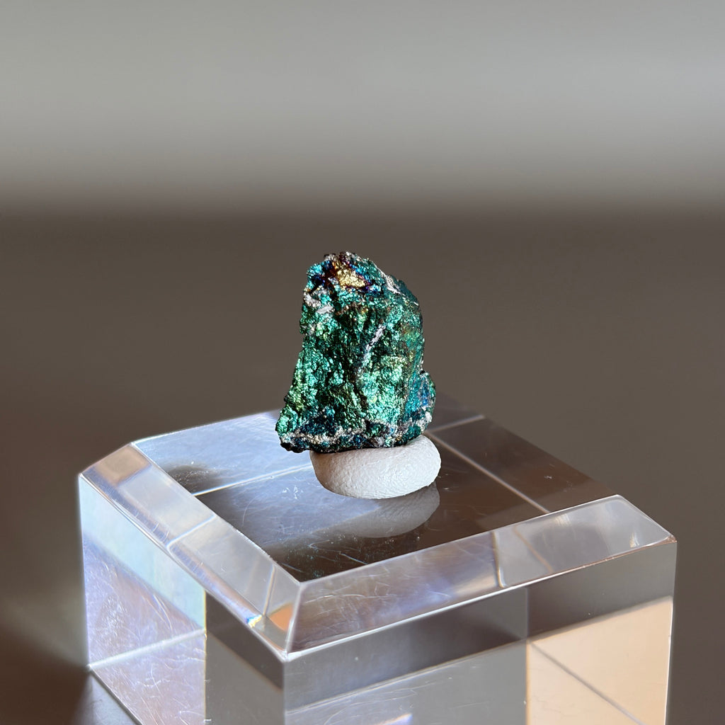 Peacock Ore 013