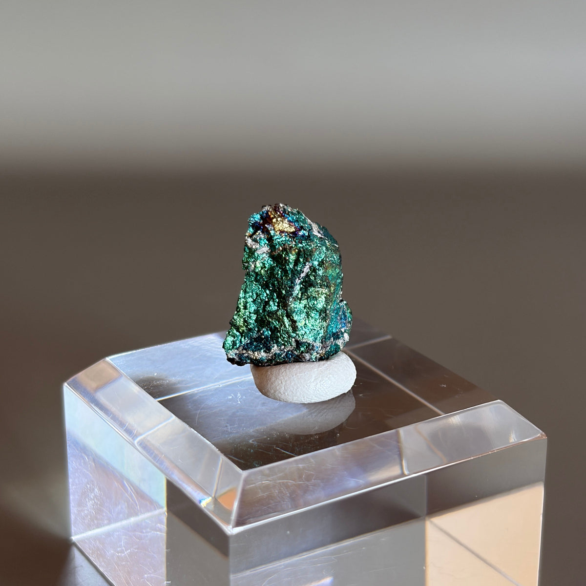 Peacock Ore 013