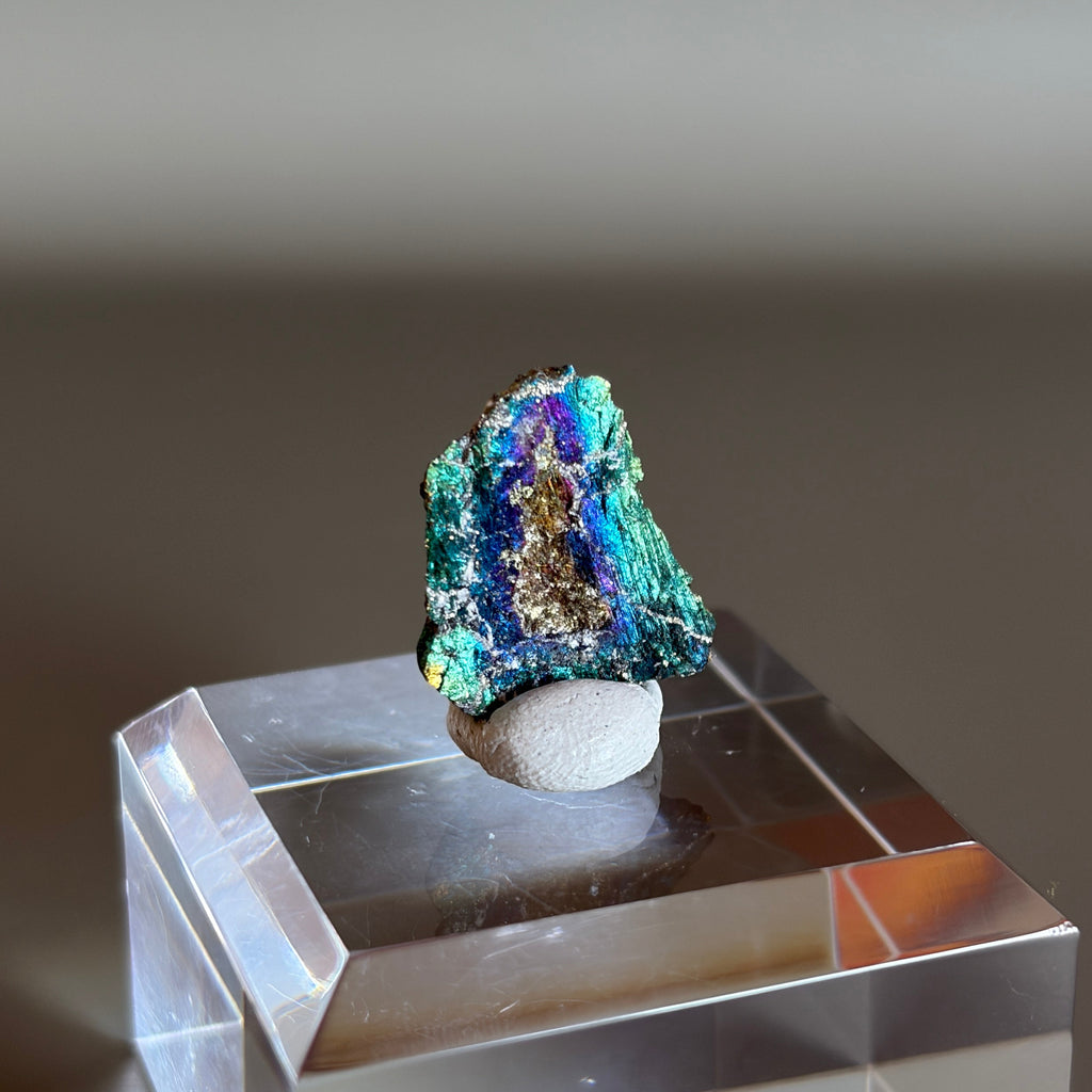 Peacock Ore 013