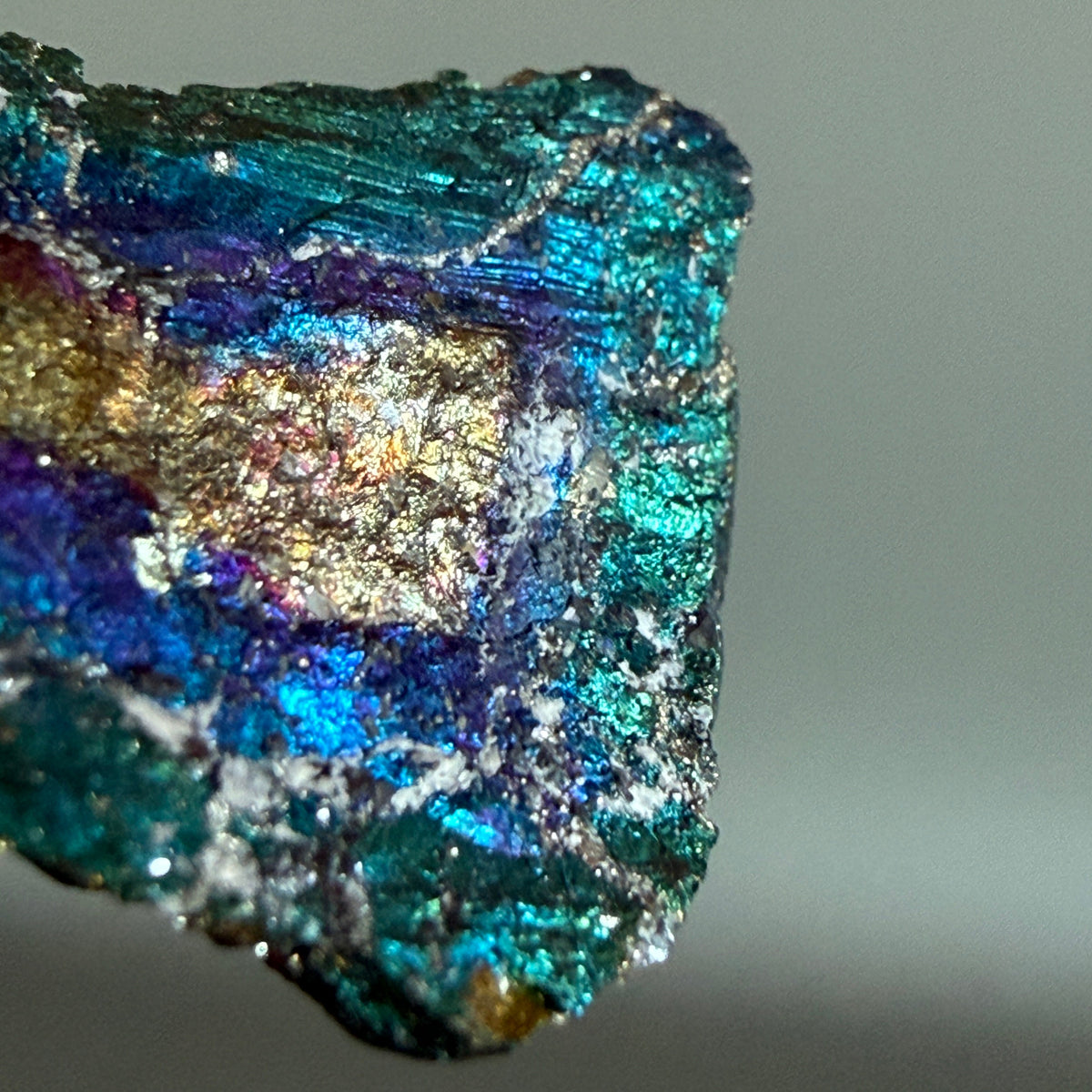 Peacock Ore 013