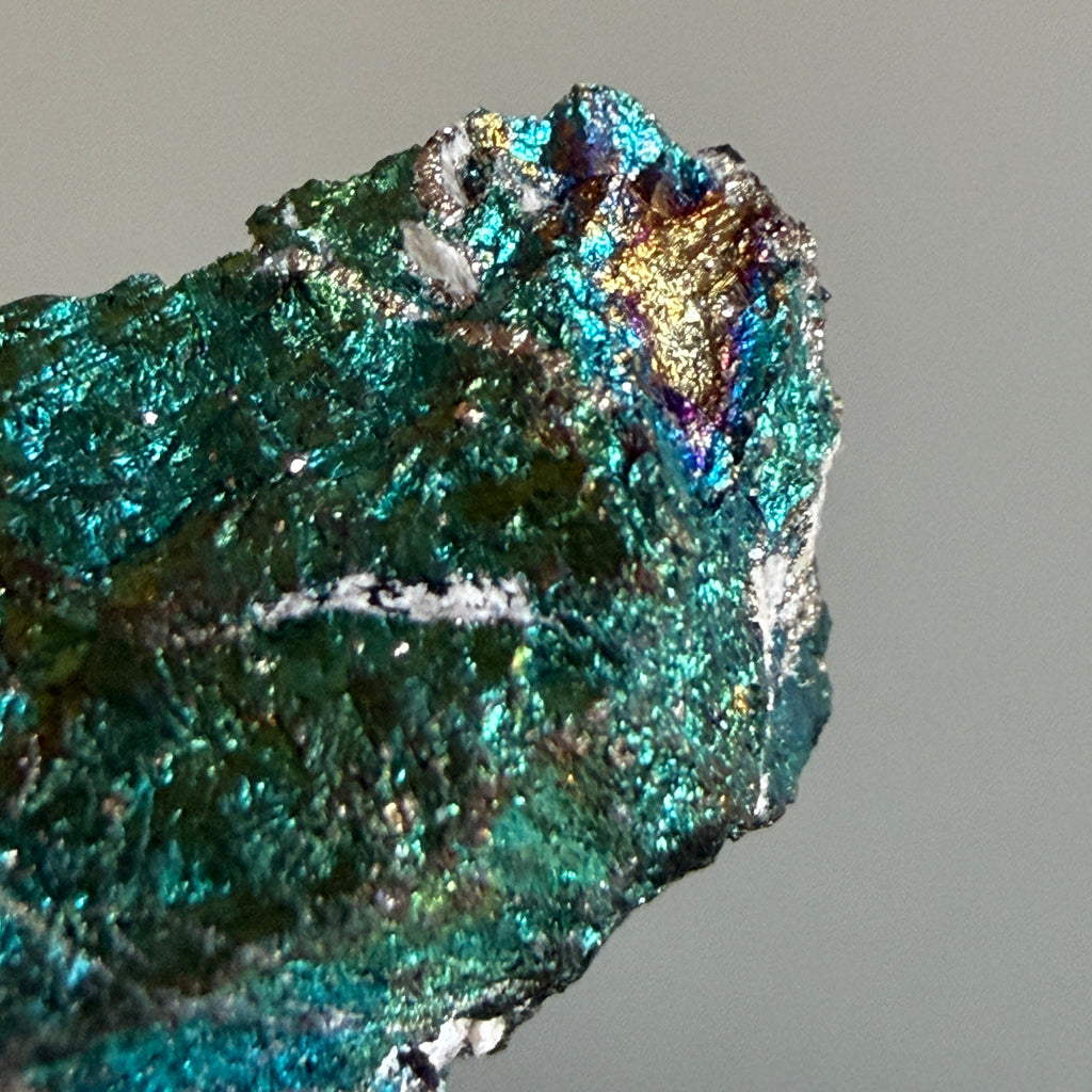 Peacock Ore 013