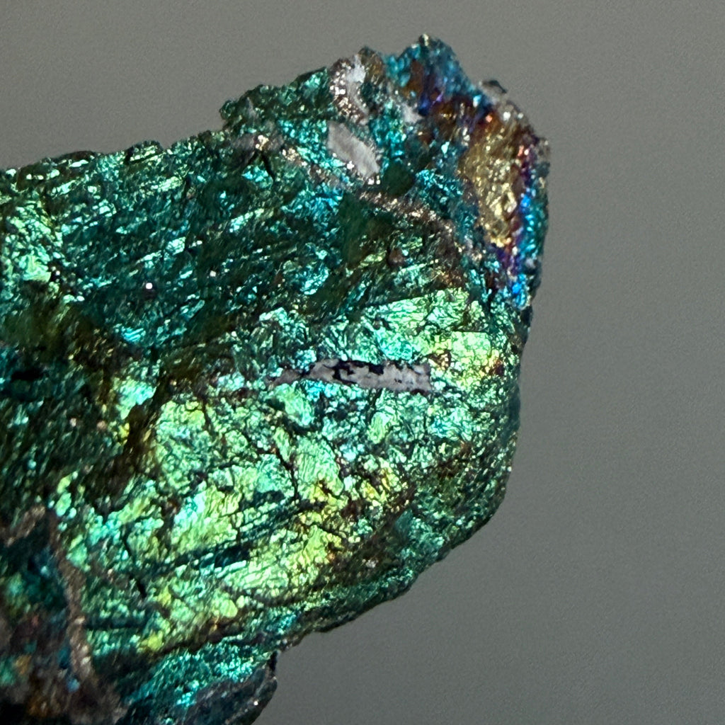 Peacock Ore 013