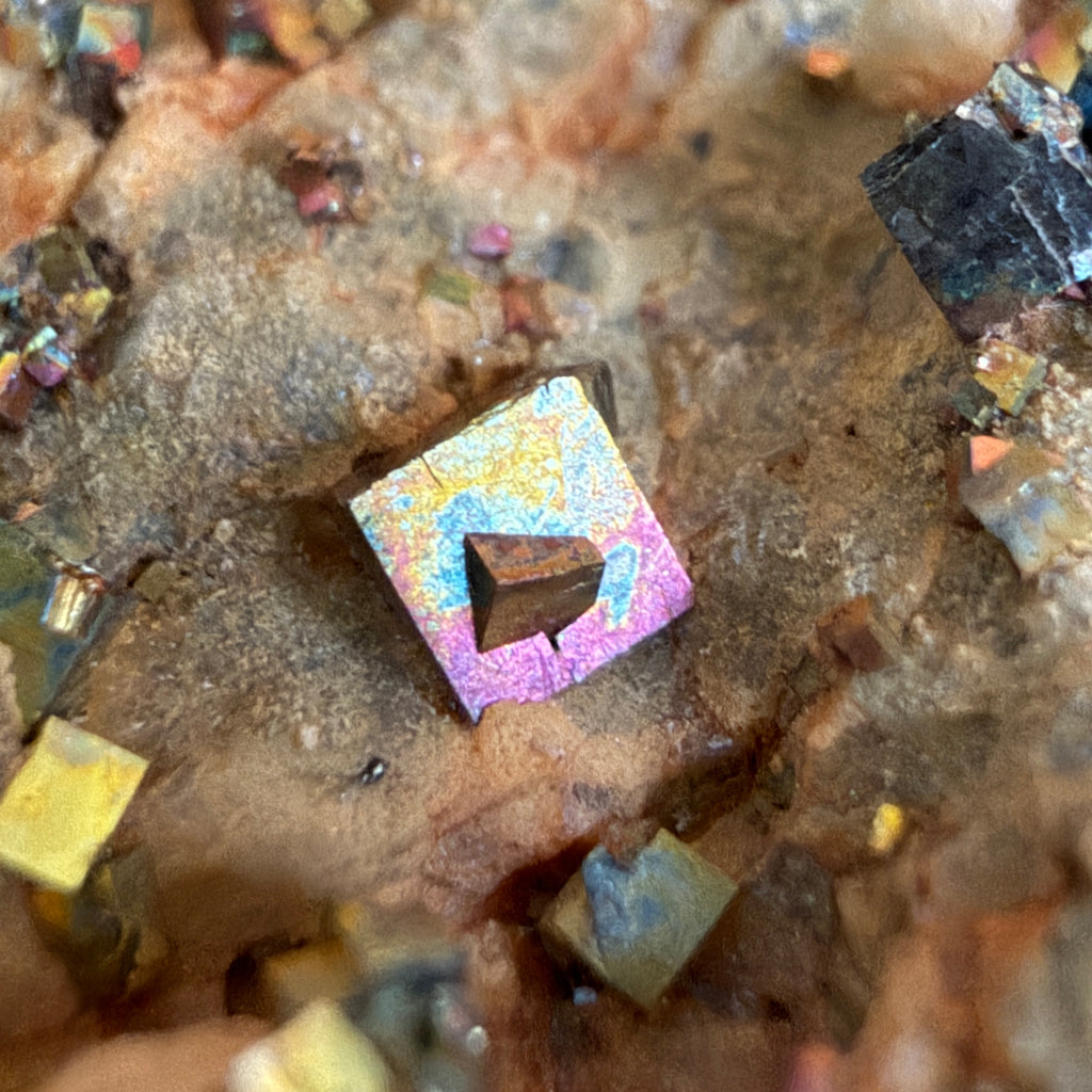 Pyrite on Matrix