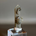 Quartz with Calcite 003
