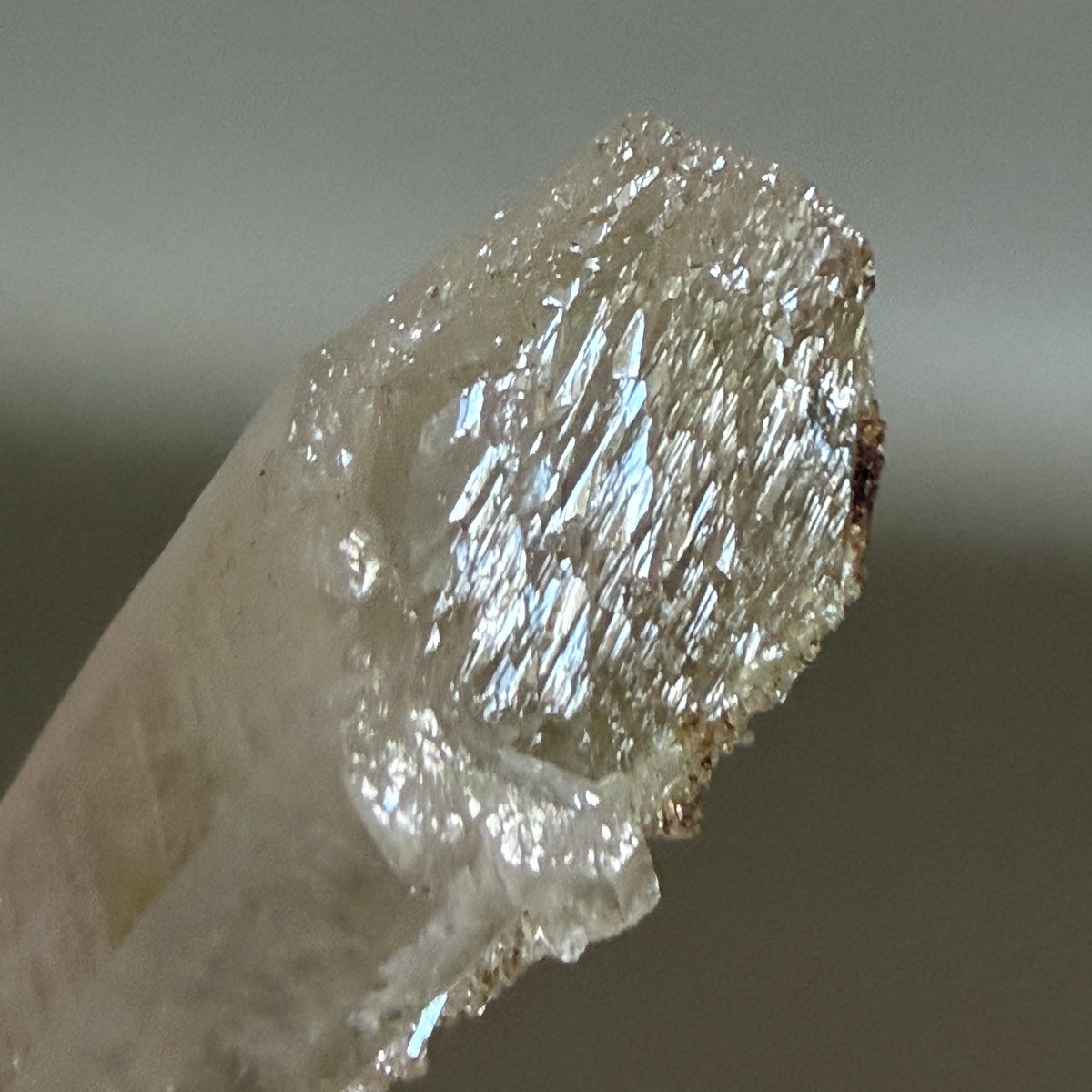 Jinlong Quartz 002