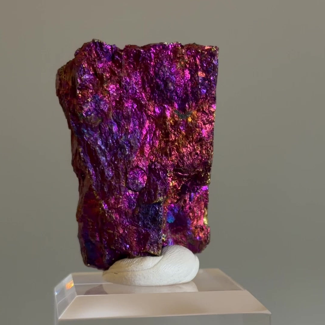 Peacock Ore 004