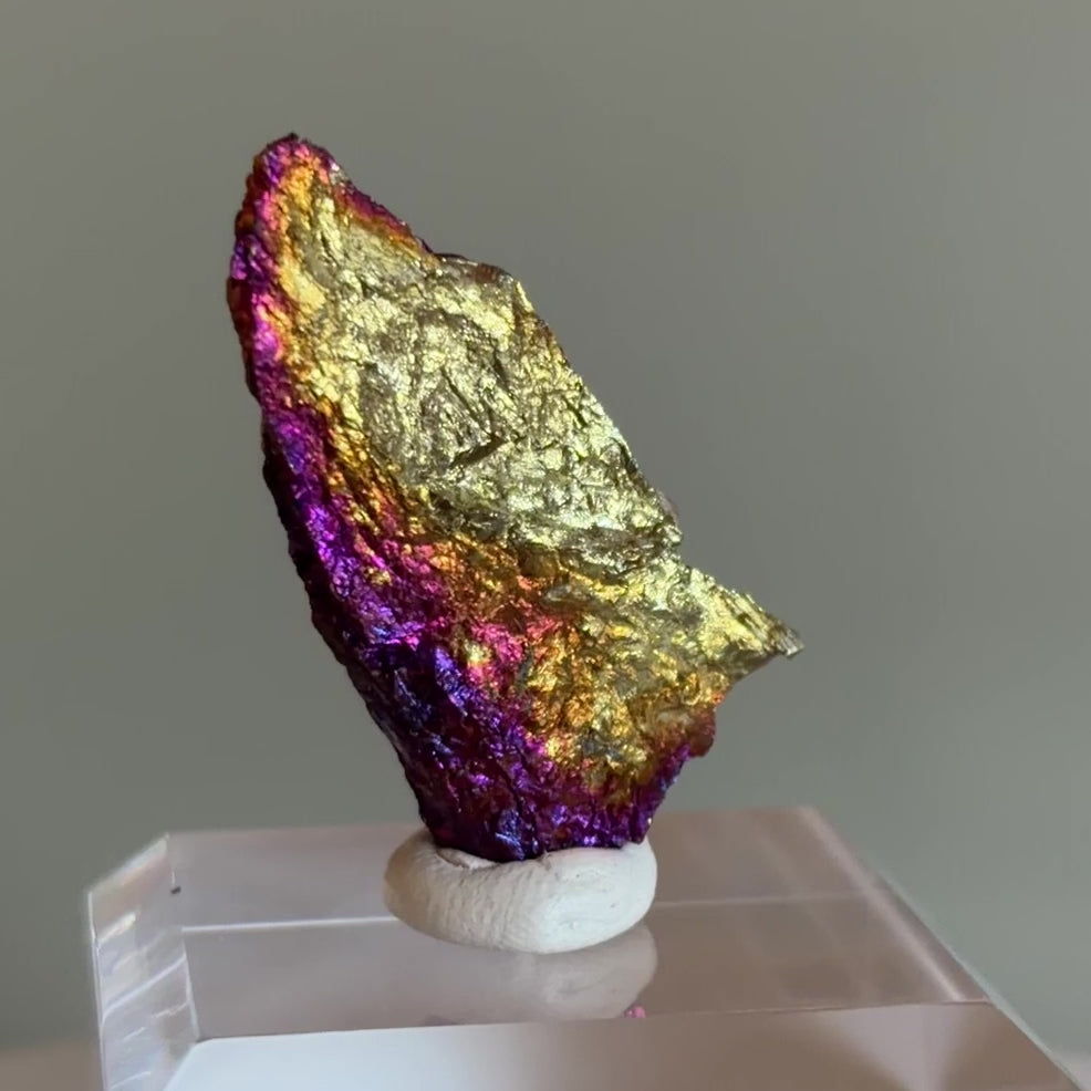 Peacock Ore 012