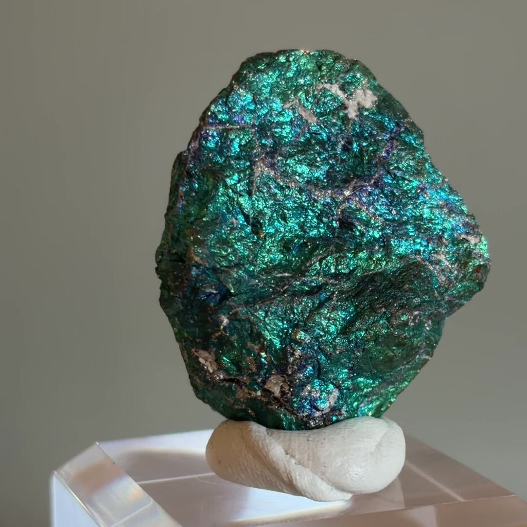 Peacock Ore 010